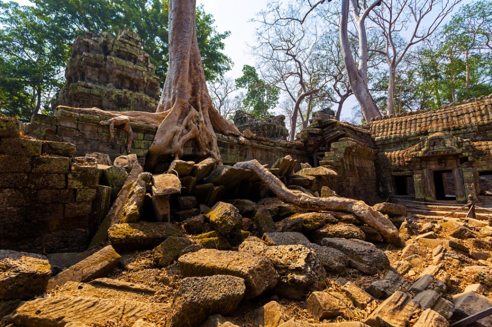Roots and Rubble at Ta Prohm
